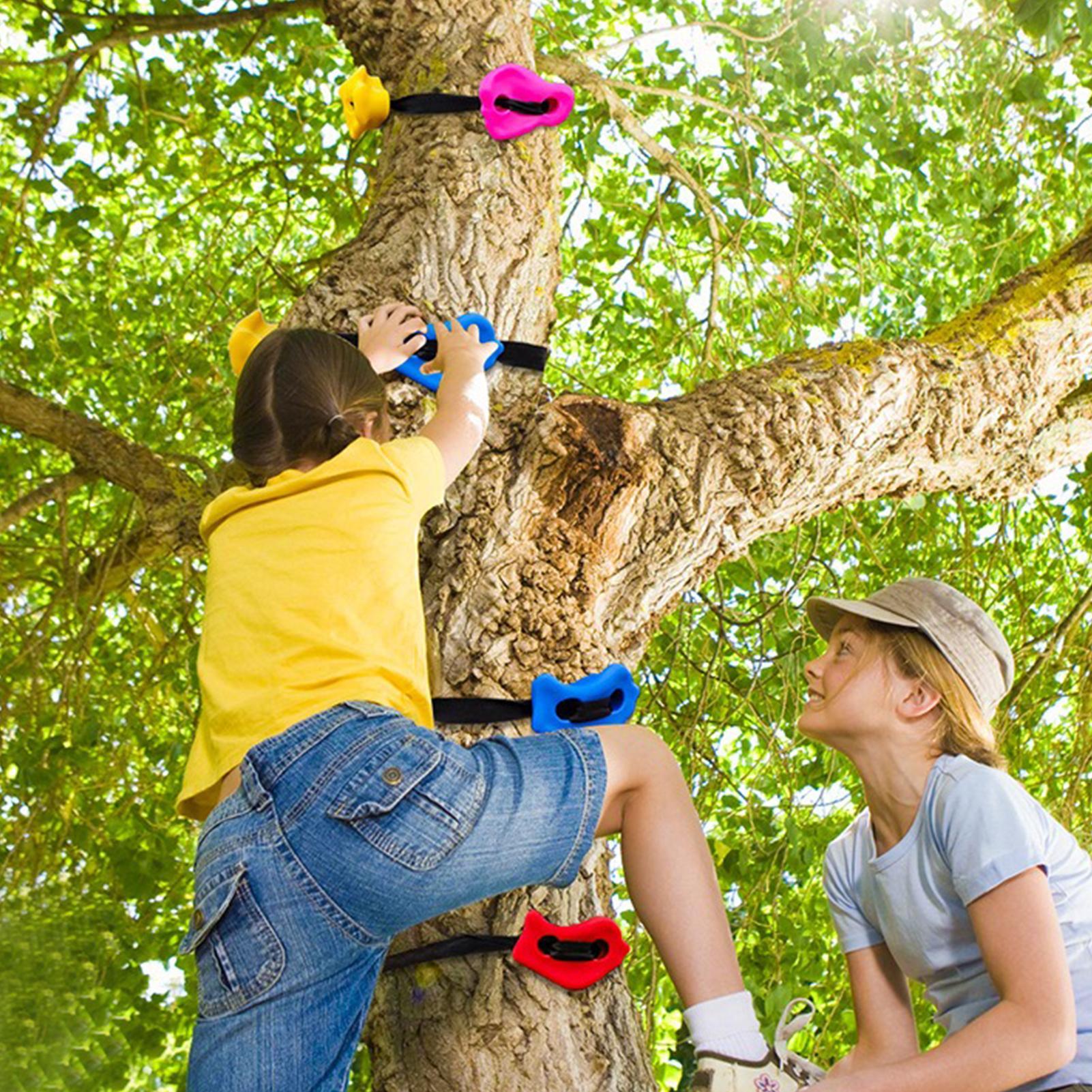 Tree Climbing Gear Adjustable  - Heavy Equipment Course review and price