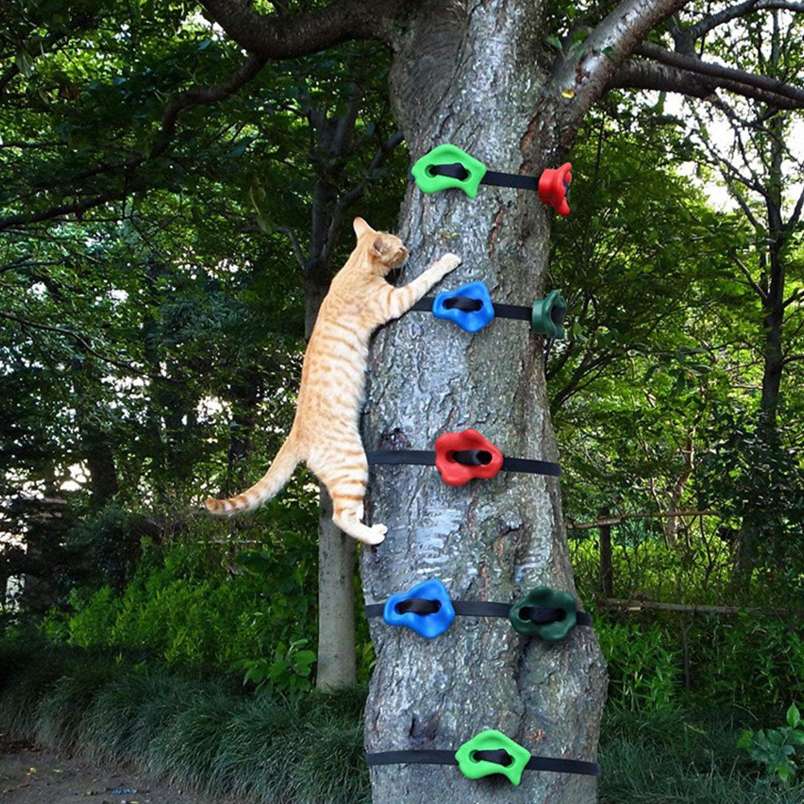 Tree Climbing Gear Adjustable  - Heavy Equipment Course review and price